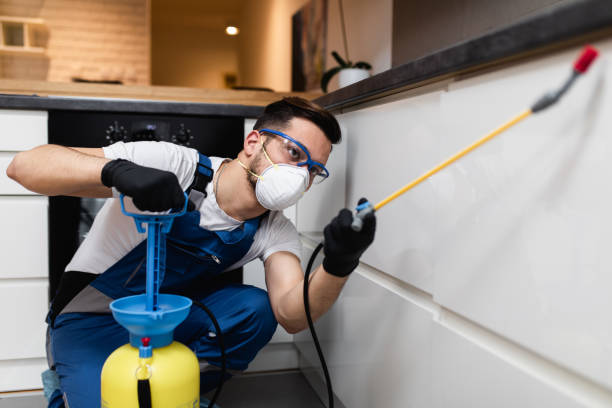 Trusted Davenport, WA Pest Control Experts