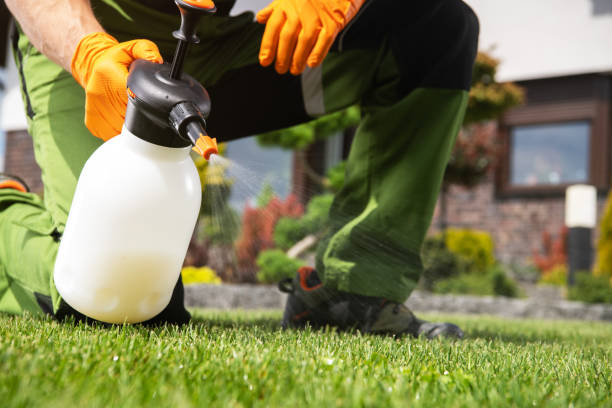 Best Rat Extermination Near Me  in Davenport, WA