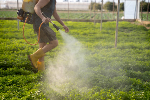 Best Pest Removal Services  in Davenport, WA